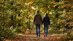 Waarom 15 minuten aaneengesloten wandelen meer doet dan losse stappen